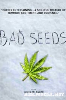 Плохие семена