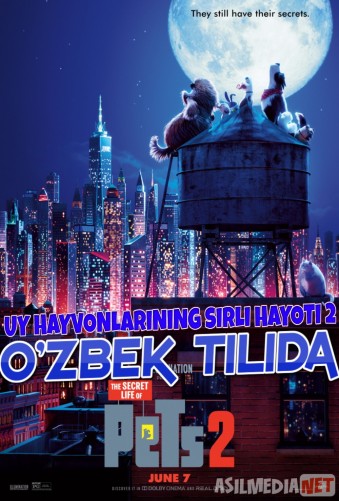 Uy hayvonlarining sirli hayoti 2 Multfilm Uzbek tilida 2019 Full HD O'zbek tarjima tas-ix skachat